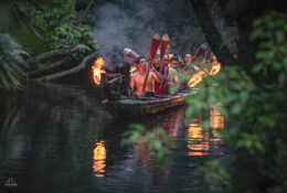 New Zealand 2025 (1 group) (7/66)